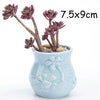 European Style Cute Fleshy Flowerpot Pocelain Blue Fish Macetas Vase Home Garden Mini Bonsai Cactus Flower Pot Balcony Decor